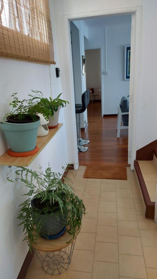Tropical Palms Apartment Mauritius Поант о Канонир Екстериор снимка